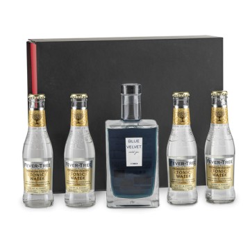 Caja Ginebra 2