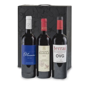 Vino 21