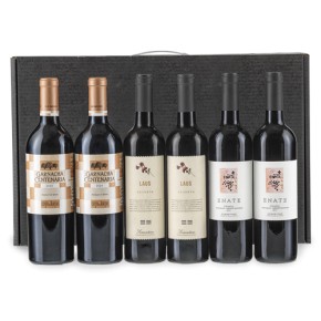 Vino 6